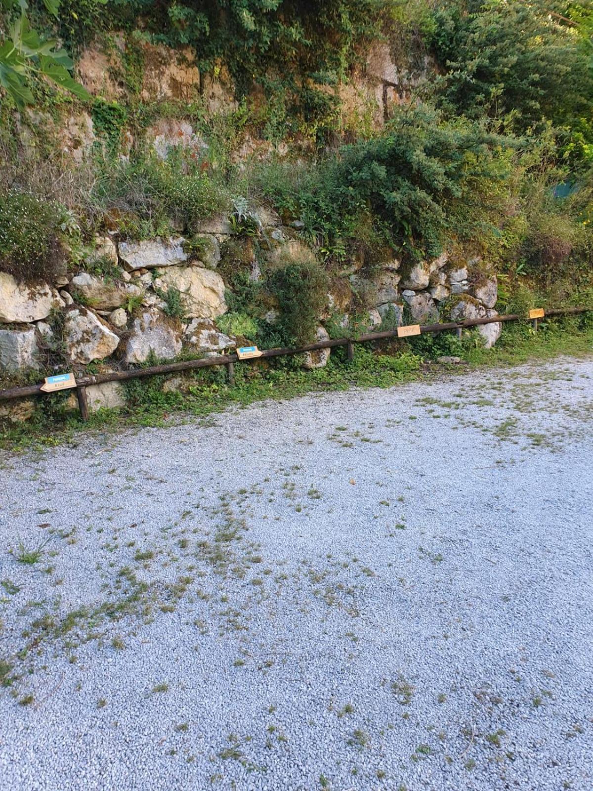 Residence Les Trois Jardins Avec Wifi Et Parking Gratuit Sarlat-la-Canéda Exteriör bild