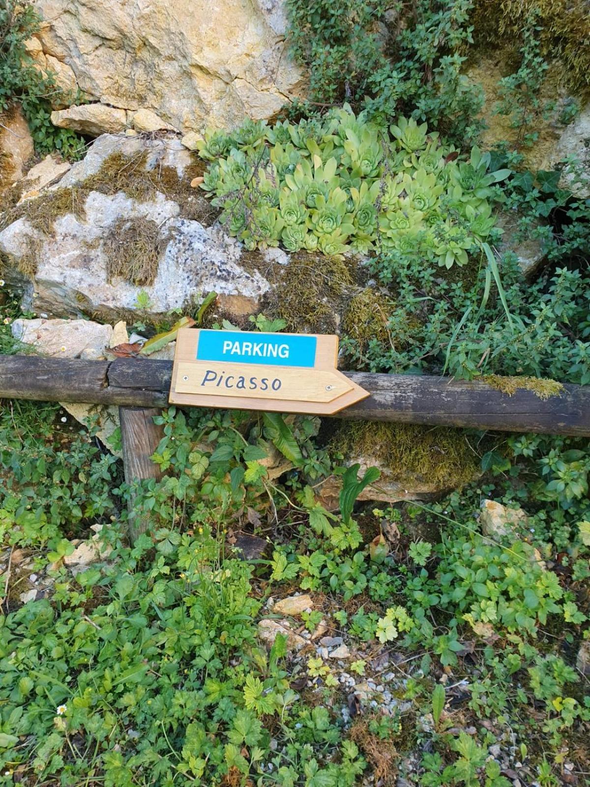 Residence Les Trois Jardins Avec Wifi Et Parking Gratuit Sarlat-la-Canéda Exteriör bild